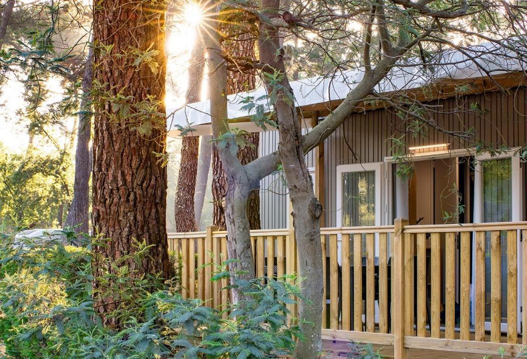 Camping Ares Exteriör bild