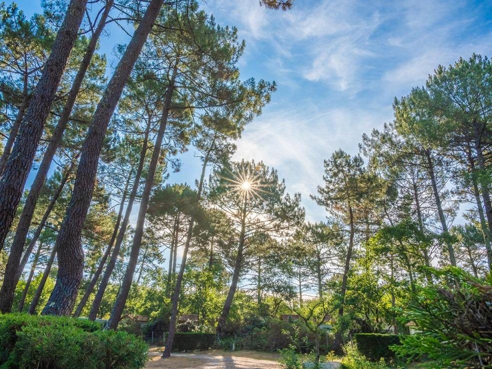 Camping Ares Exteriör bild