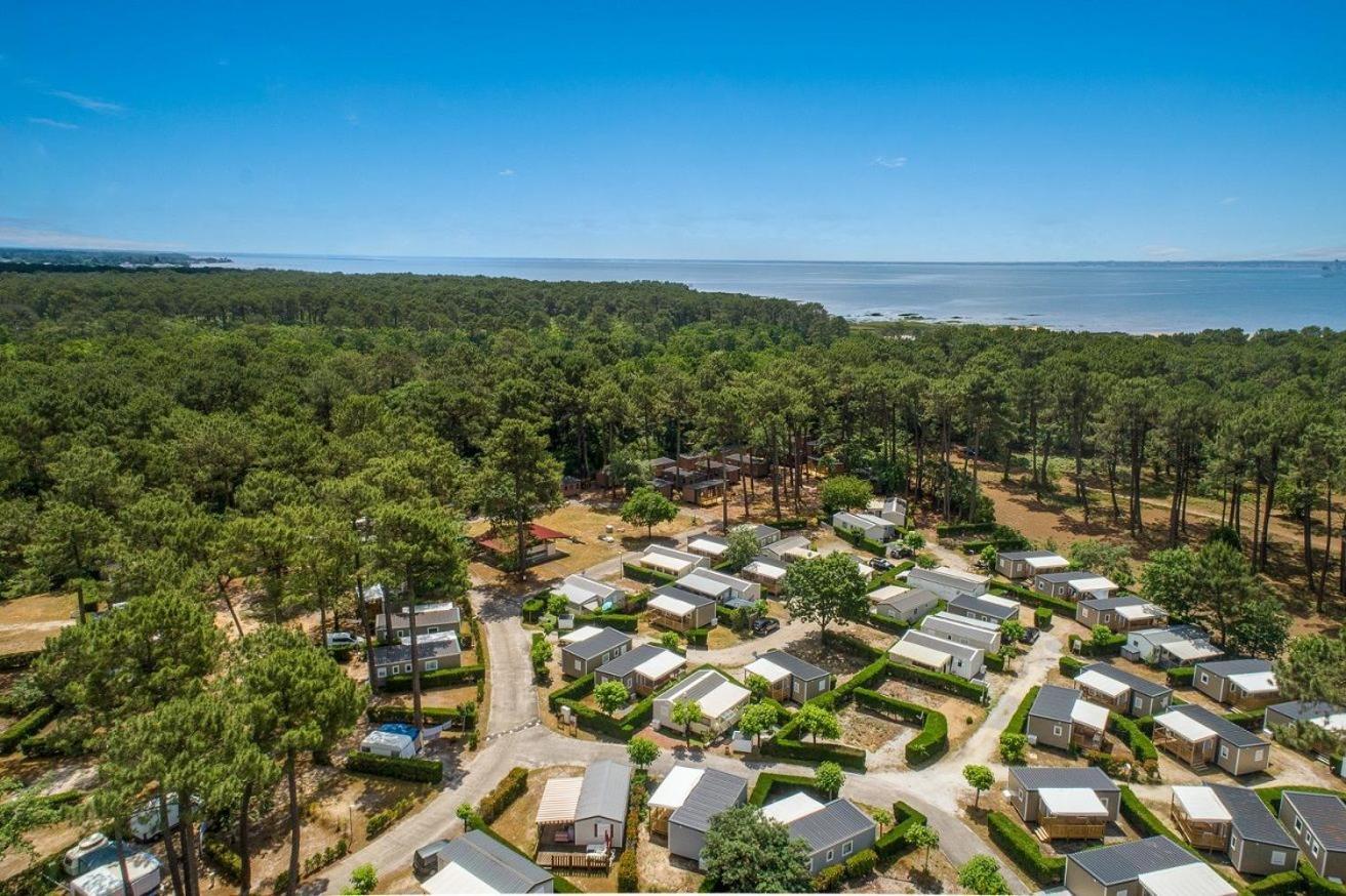 Camping Ares Exteriör bild