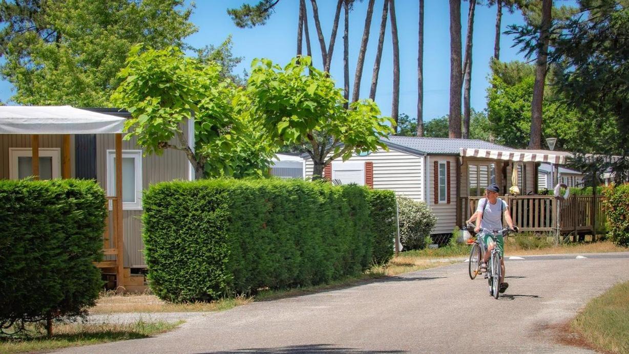 Camping Ares Exteriör bild